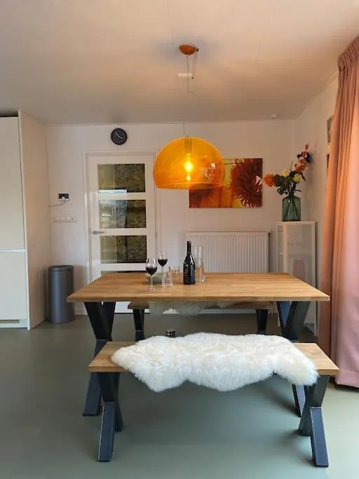 Unieke Woonark Met Privetuin En Free Parking. Appartement Rotterdam 0*,  Nederland
